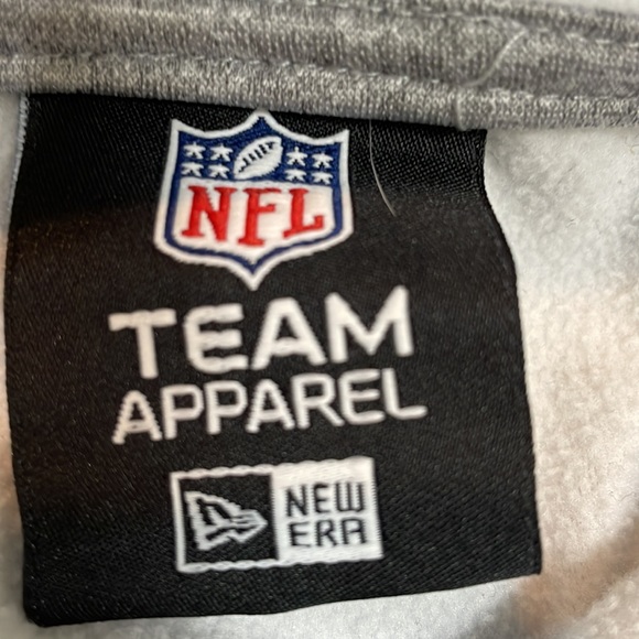 Panthers NFL Combine Training Size Large Hoodie Pop Over Gray - Picture 3 of 16